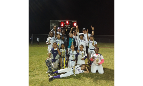 Minor Rec Softball Champions